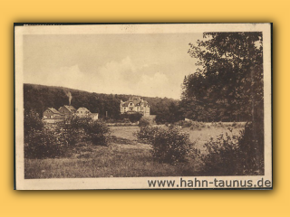 Bild701011  Hahn um 1926.jpg